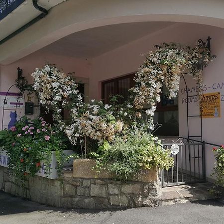 Apartment La Gatta Viola Stresa Exterior foto