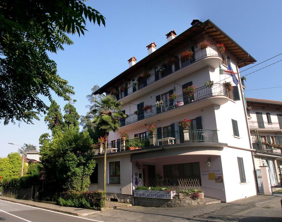 Apartment La Gatta Viola Stresa Exterior foto