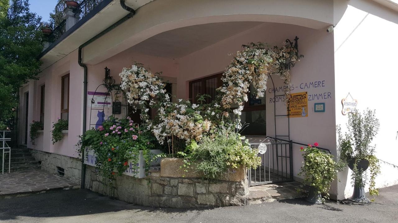 Apartment La Gatta Viola Stresa Exterior foto