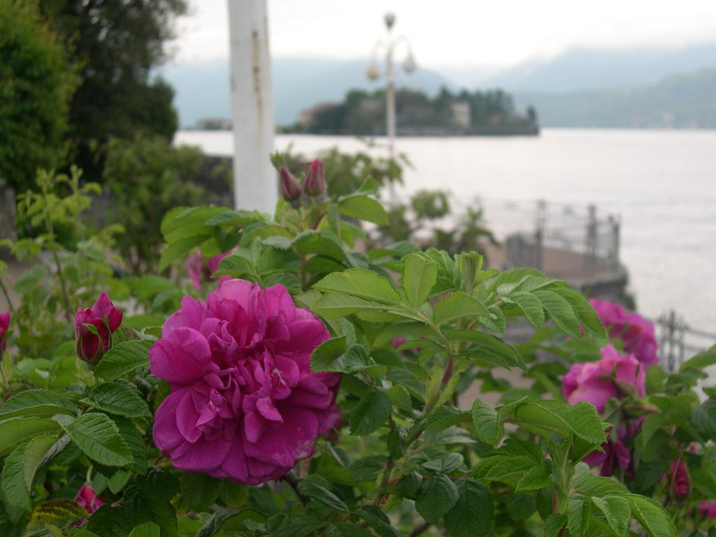 Apartment La Gatta Viola Stresa Exterior foto